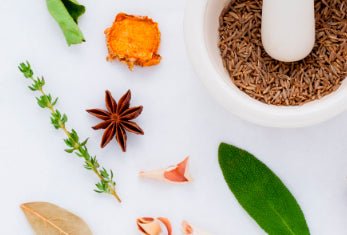 What is Ayurveda? - The Ayurvedic Protein Co.